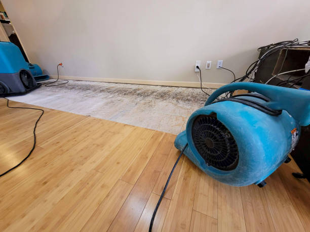 Professional Basement Flood Cleanup technician working in Skillman, NJ